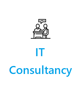 IT Consultancy